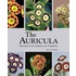 The Auricula