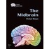 The Midbrain