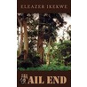 The Tail End door Eleazer Ikekwe