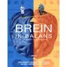Brein in balans by Philip Carter