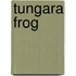 Tungara Frog