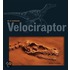 Velociraptor