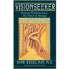 Visionseeker by Henry Barnard Wesselman