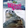 Weddell Seal by Joyce L. Markovics