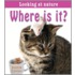 Where Is It?