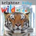 Wild Animals