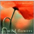 Wild Flowers