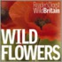 Wild Flowers