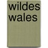 Wildes Wales