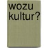 Wozu Kultur?
