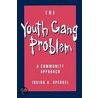 Youth Gang P door Irving A. Spergel