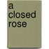 A Closed Rose