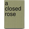 A Closed Rose door Amanda Mayew