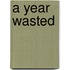 A Year Wasted