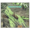About Insects door Cathryn Sill