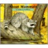 About Mammals