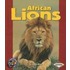 African Lions