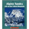 Alpine Tundra door Salvatore Tocci
