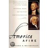 America Afire door Bernard A. Weisberger