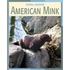 American Mink
