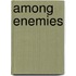 Among Enemies