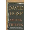 Among Thieves door David Hosp
