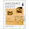 Ancient Egypt door Barry J. Kemp