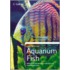 Aquarium Fish