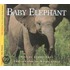 Baby Elephant