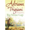 Big Stone Gap door Adriana Trigiani