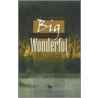 Big Wonderful door Kevin Holdsworth