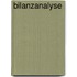Bilanzanalyse