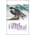 Bird Hospital
