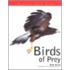 Birds of Prey