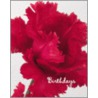 Birthdays Red by Quadrille