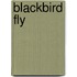 Blackbird Fly