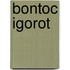 Bontoc Igorot