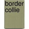 Border Collie door Onbekend