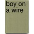 Boy On A Wire