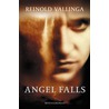 Angel falls by R. Vallinga