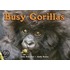 Busy Gorillas