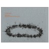 Cai Guo-Qiang door Peter Eleey