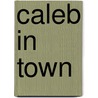 Caleb In Town door The Rollo Books