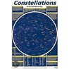 Constellation door Sims