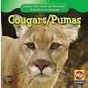 Cougars/Pumas door JoAnn Early Macken