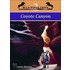 Coyote Canyon