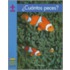 Cuantos Peces