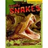 Deadly Snakes