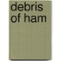 Debris of Ham