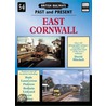 East Cornwall by David Mitchell